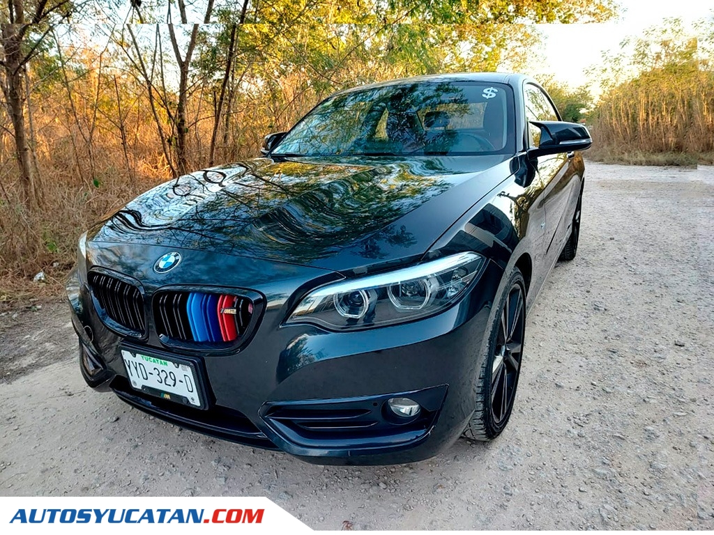 BMW Serie 2 220 ia 2018