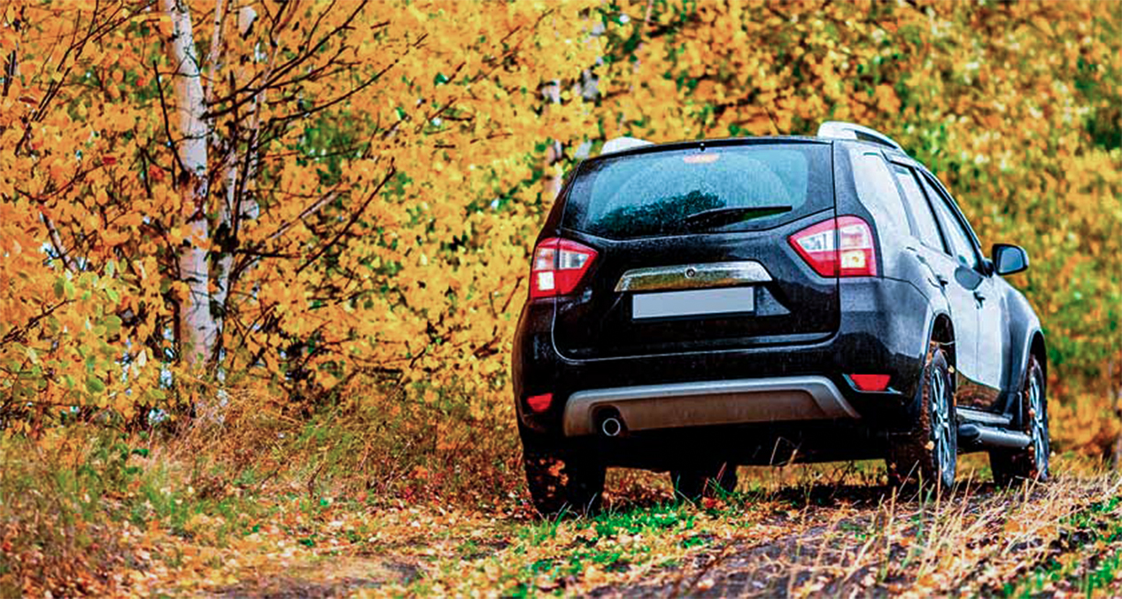 ¿Por qué elegir un SUV?