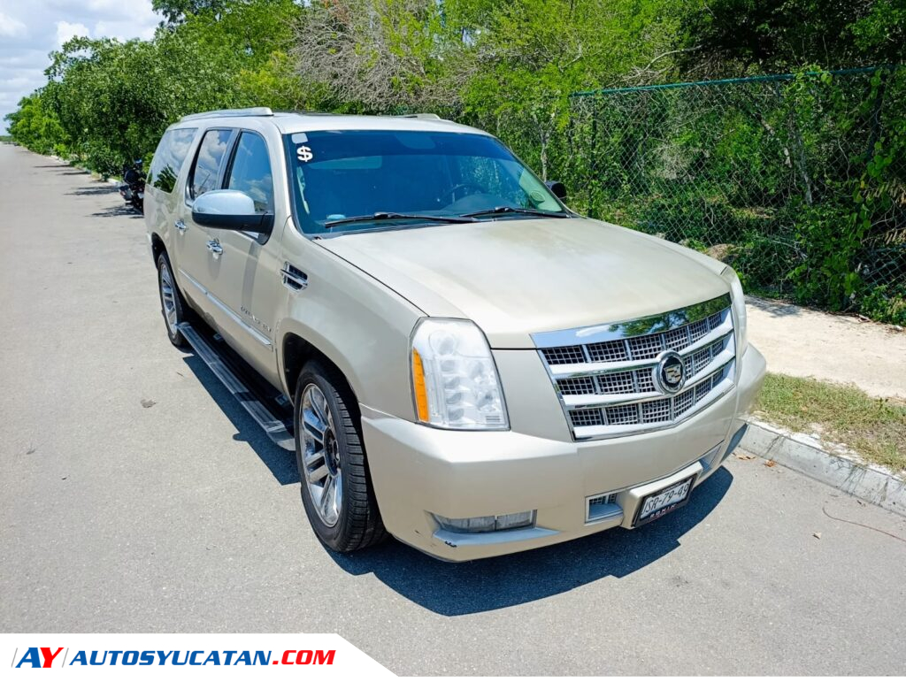 Cadillac Escalade 2010