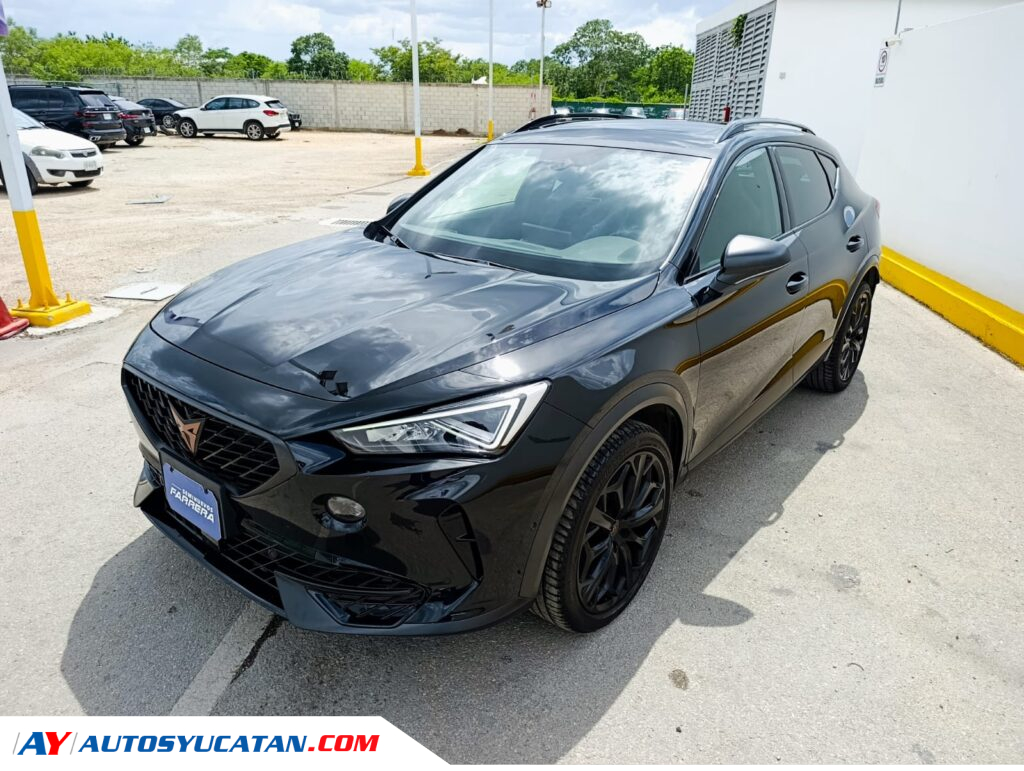 Cupra Formentor VZ Tribe 310hp 2024