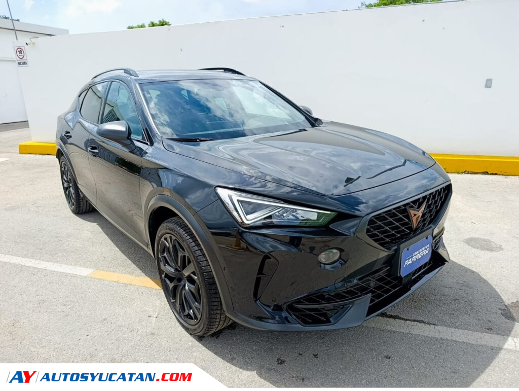 Cupra Formentor VZ Tribe 310hp 2024