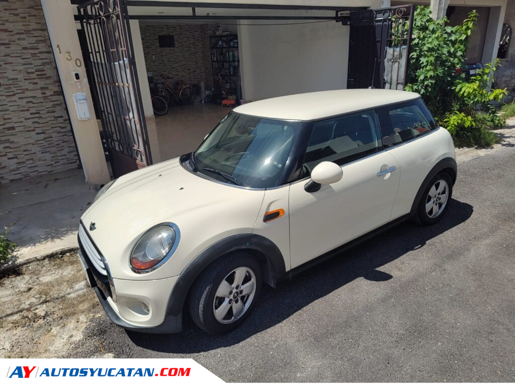 Mini Cooper Salt 2014