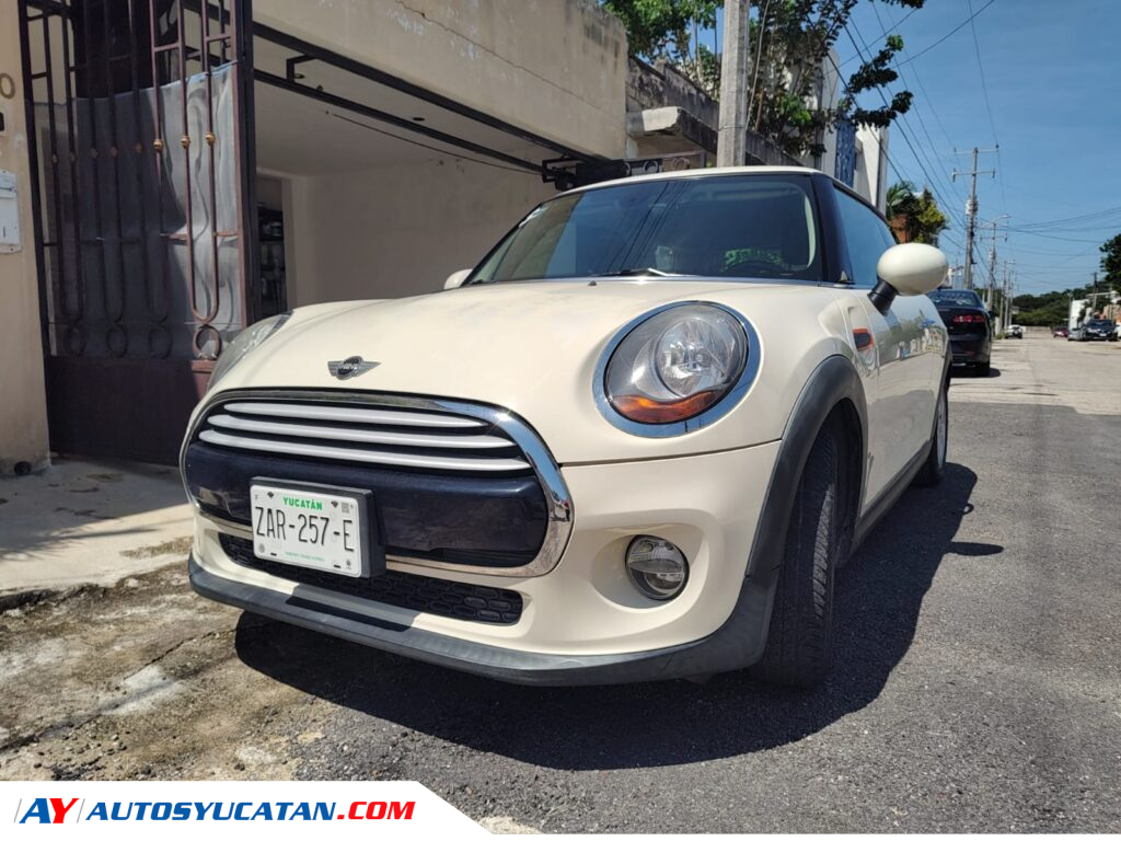 Mini Cooper Salt 2014