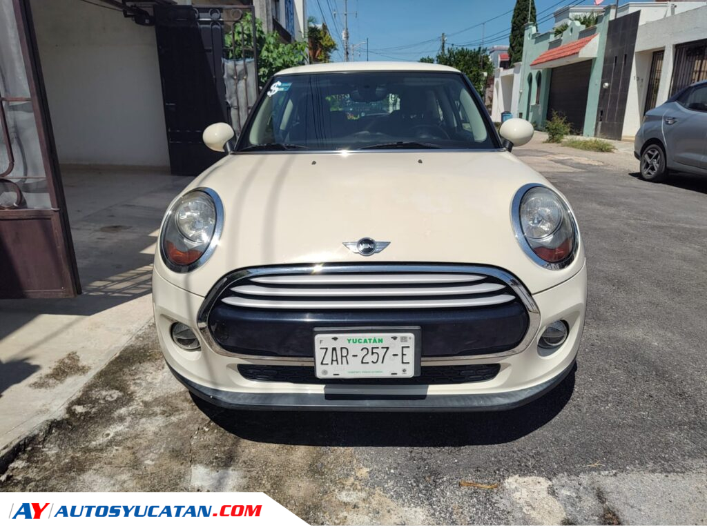 Mini Cooper Salt 2014
