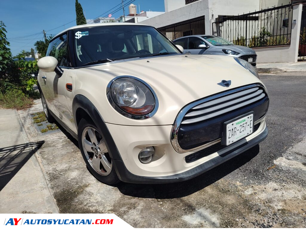 Mini Cooper Salt 2014