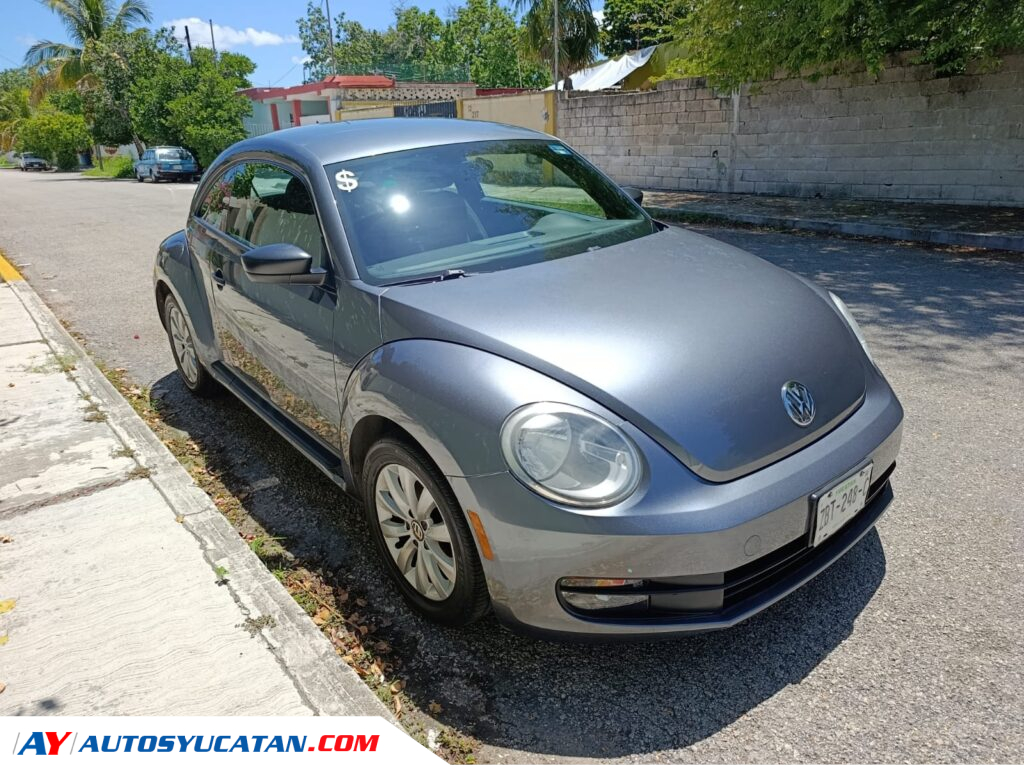 Volkswagen Beetle 2013