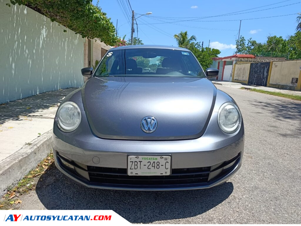 Volkswagen Beetle 2013
