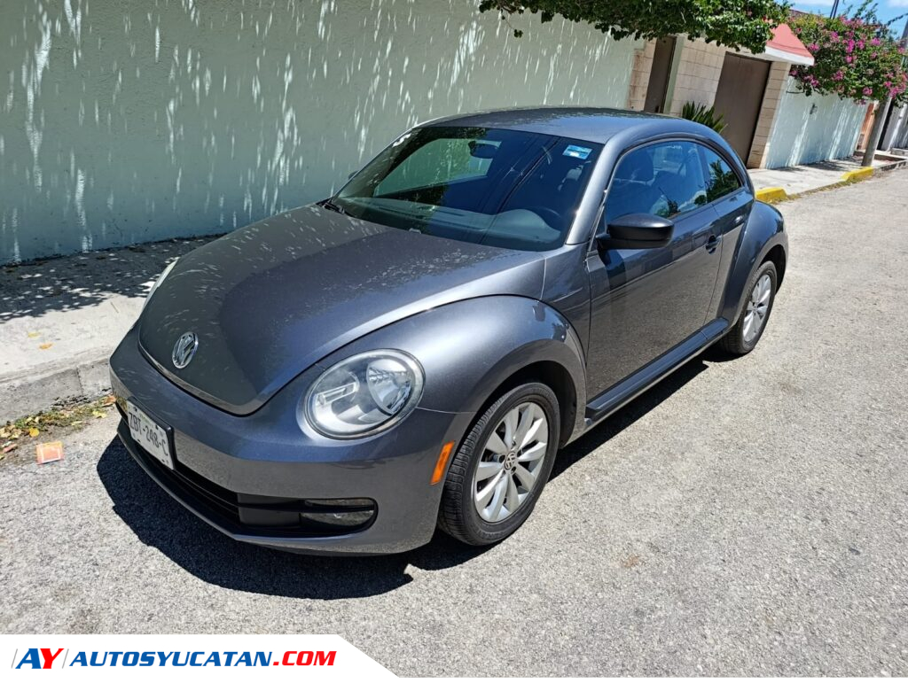 Volkswagen Beetle 2013