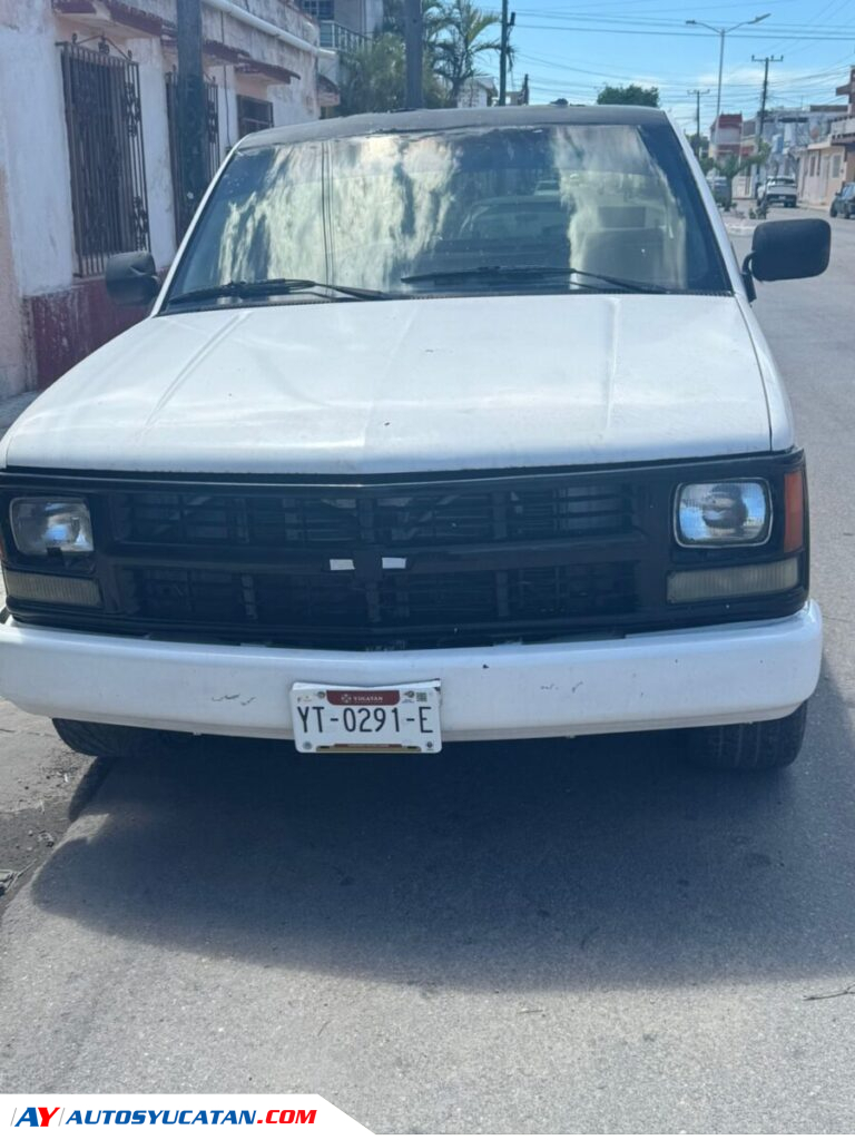 Chevrolet Custom 1995