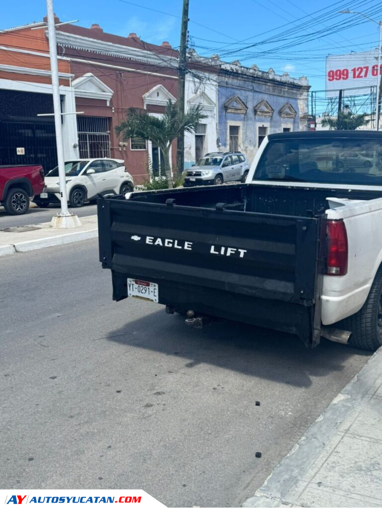 Chevrolet Custom 1995