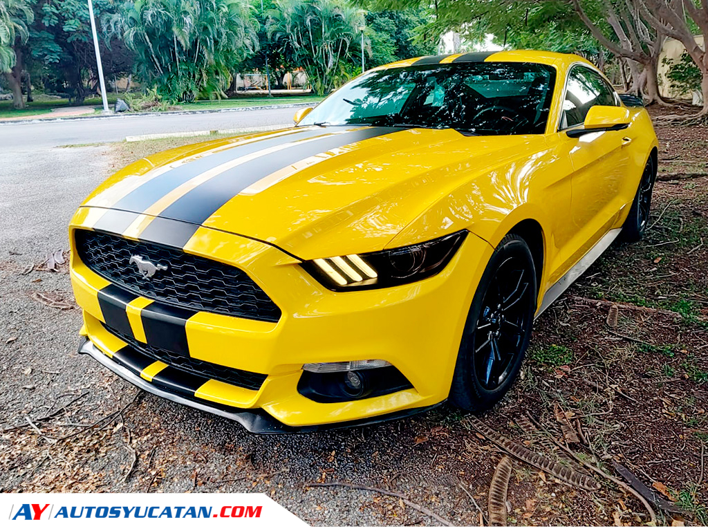 Ford Mustang EcoBoost  2017
