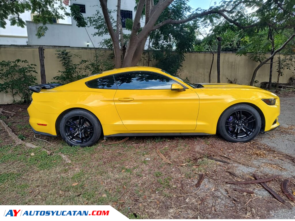 Ford Mustang EcoBoost  2017