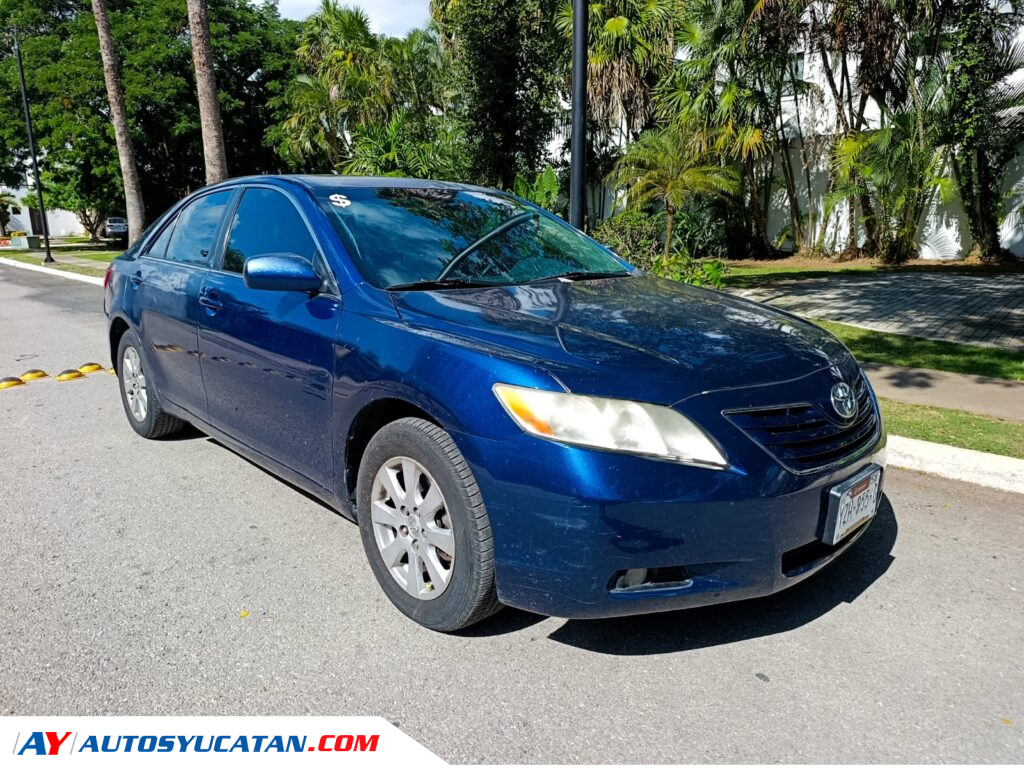 Toyota Camry XLE 2009