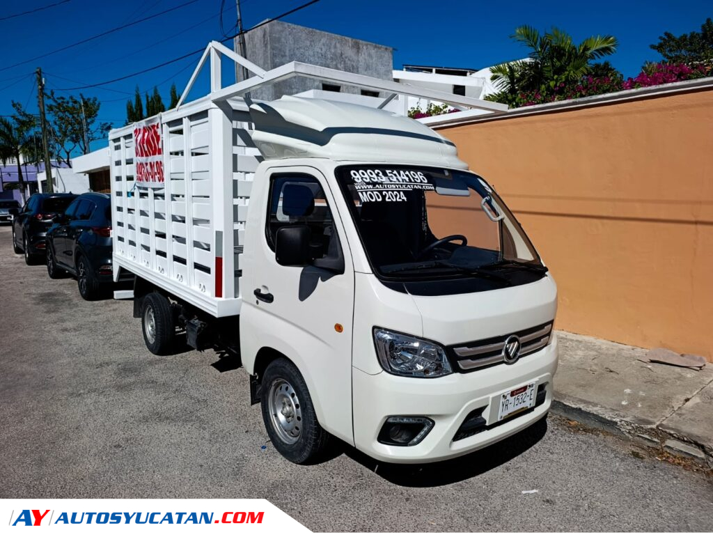 Foton TM3 2024