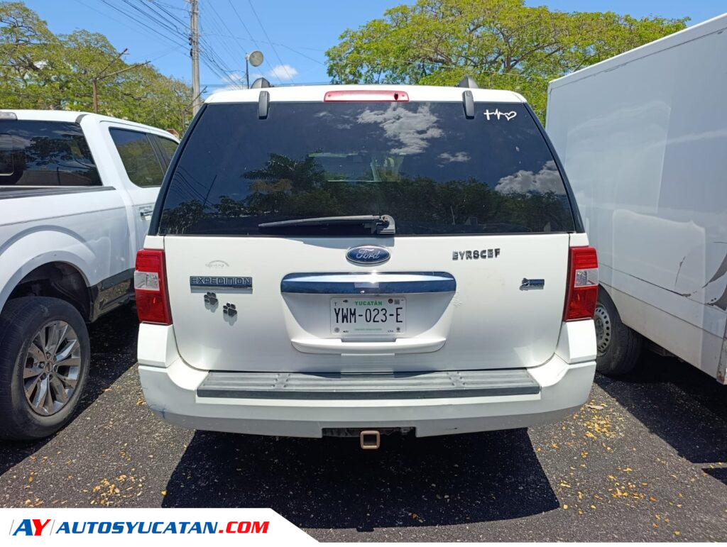 Ford Expedition 2010