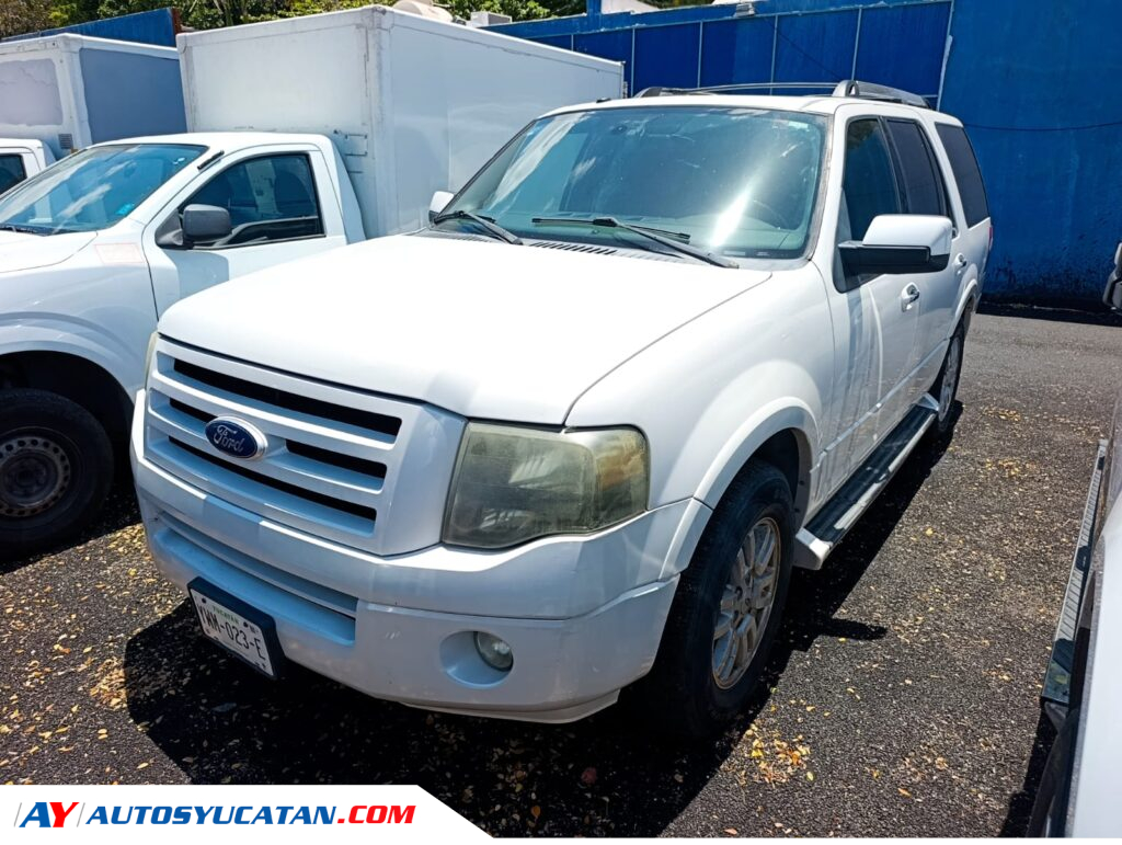 Ford Expedition 2010
