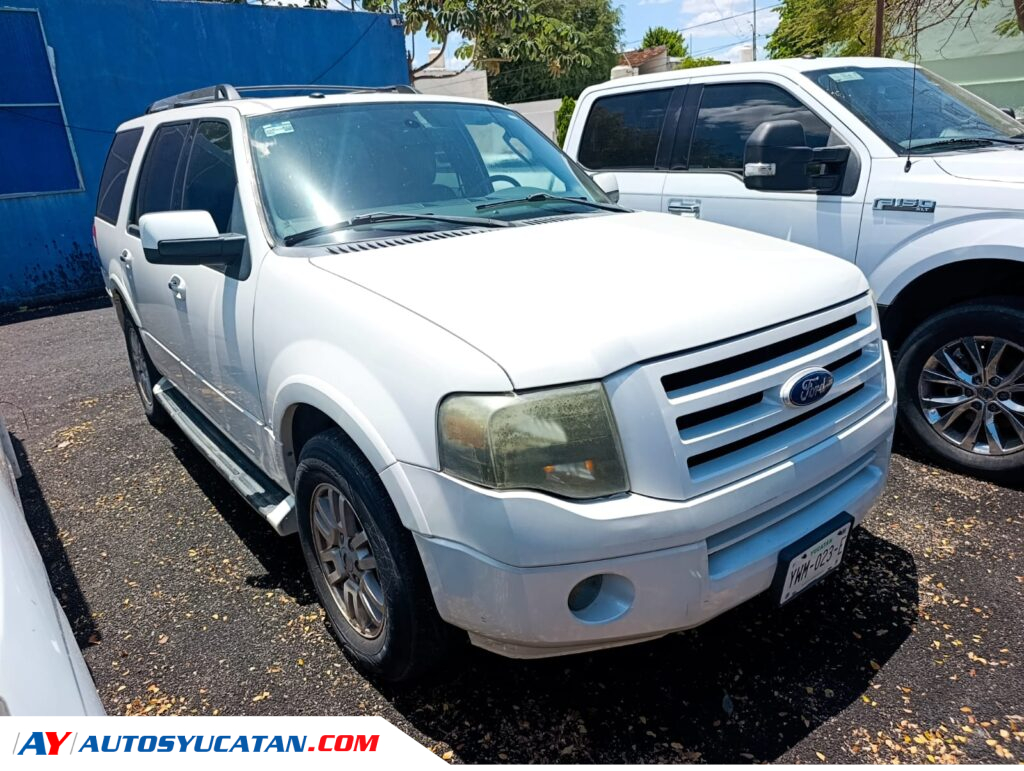 Ford Expedition 2010