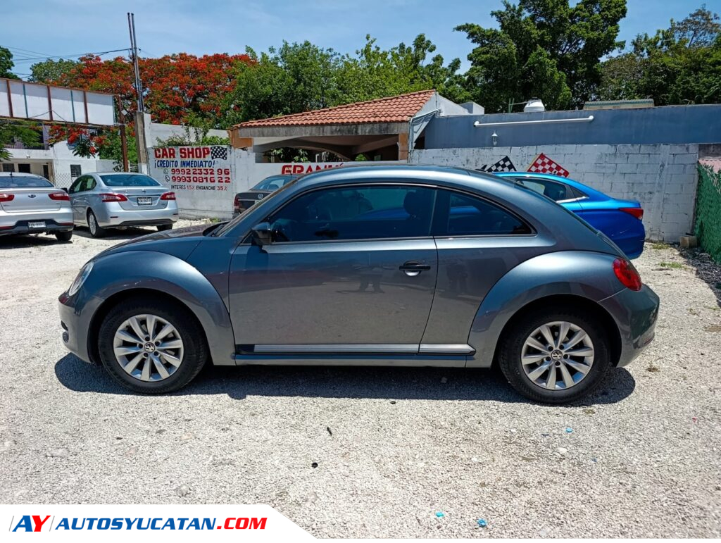 Volswagen Beetle 2014