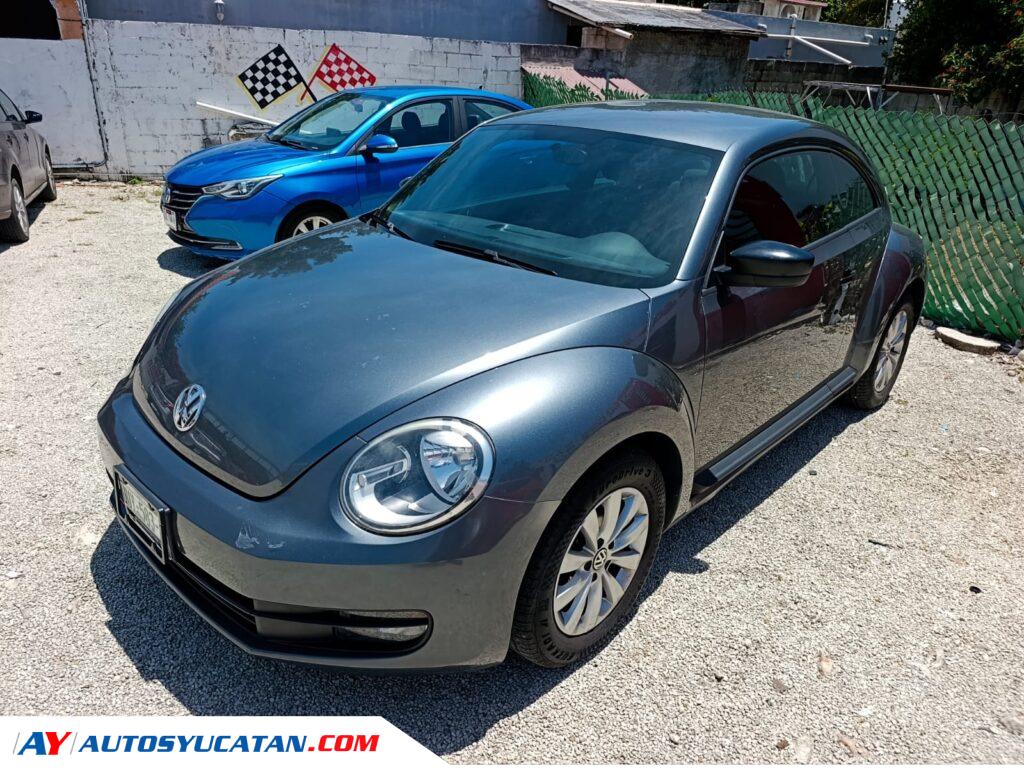 Volswagen Beetle 2014