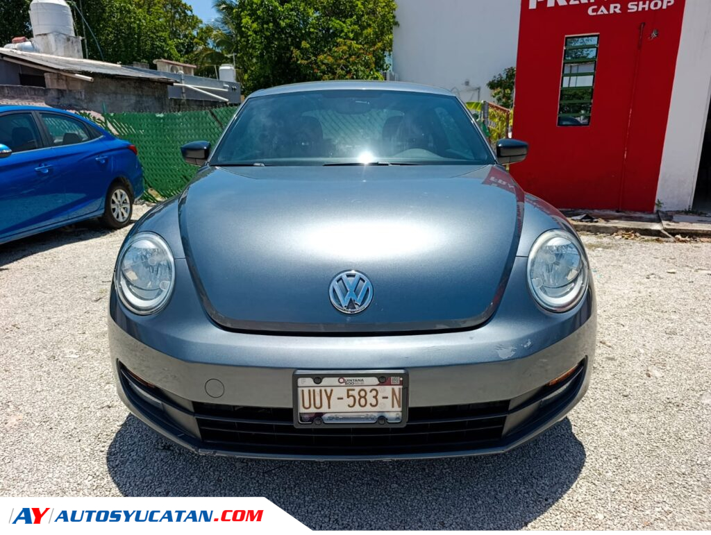 Volswagen Beetle 2014