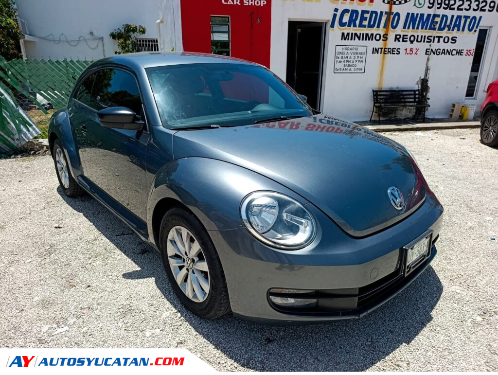 Volswagen Beetle 2014