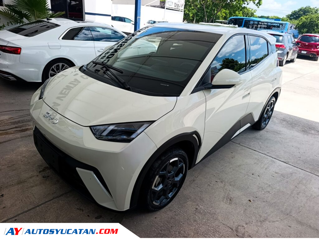 BYD Dolphin Mini 2026
