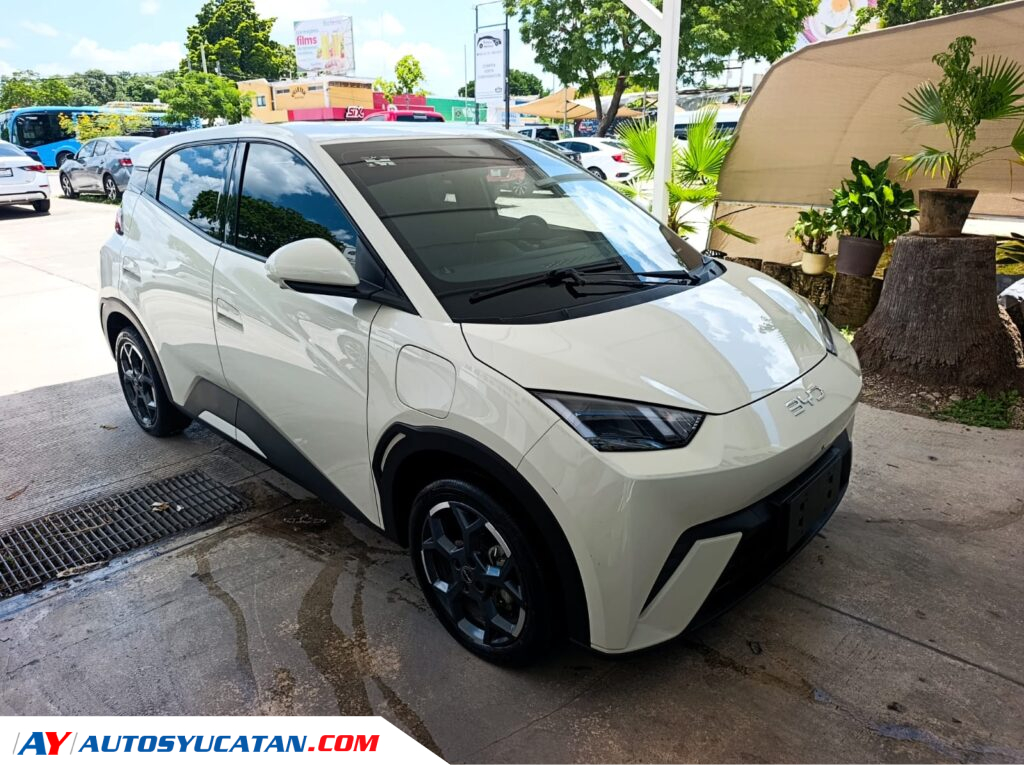 BYD Dolphin Mini 2026