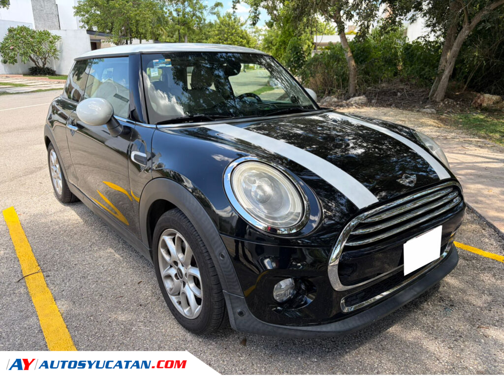 Mini Cooper Pepper 2014