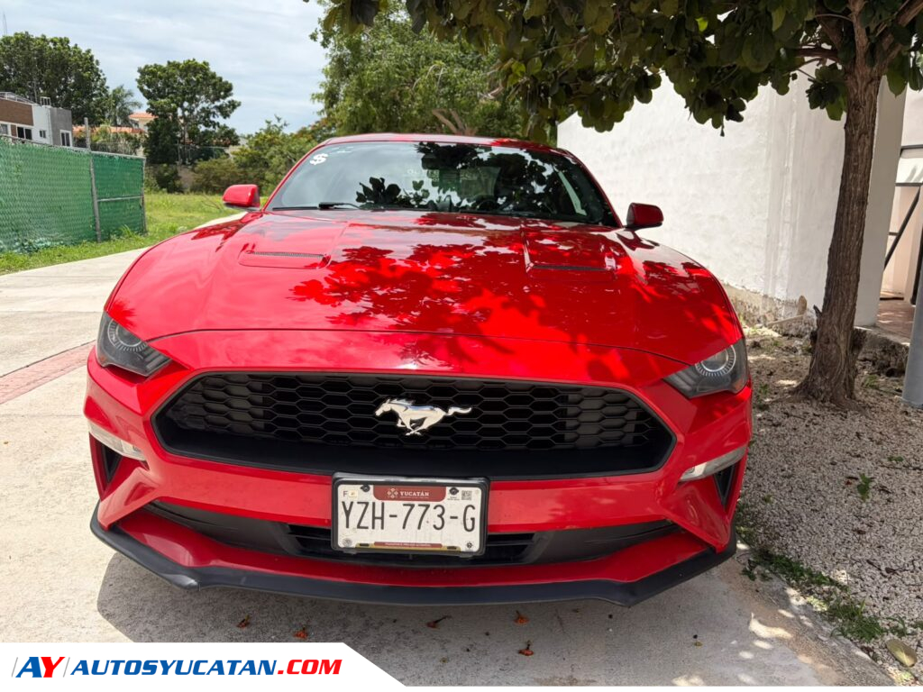 Ford Mustang 2019