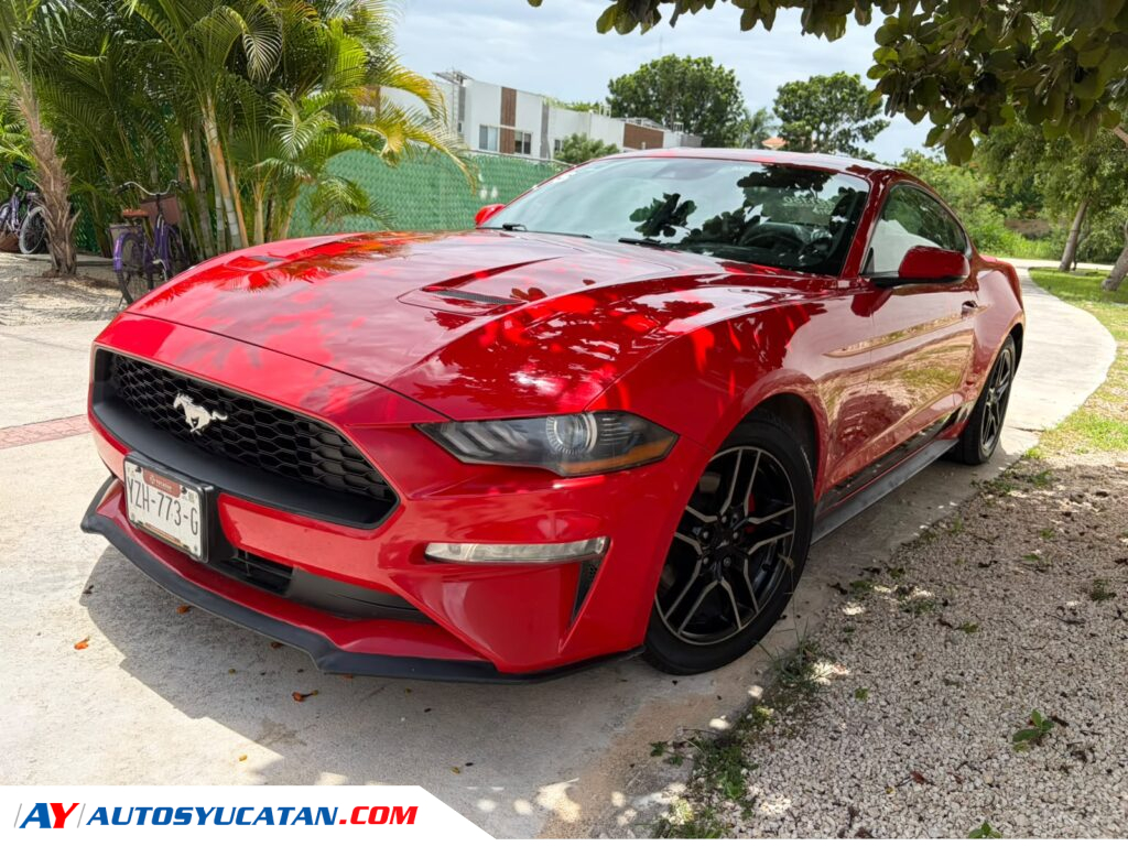 Ford Mustang 2019
