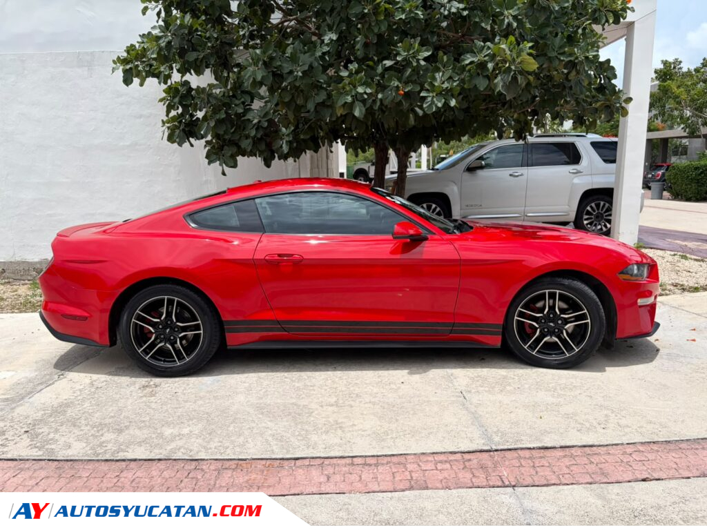 Ford Mustang 2019