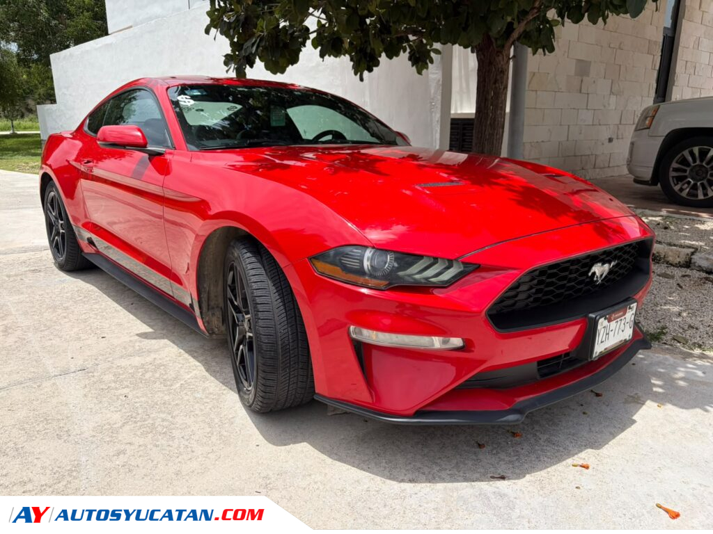 Ford Mustang 2019