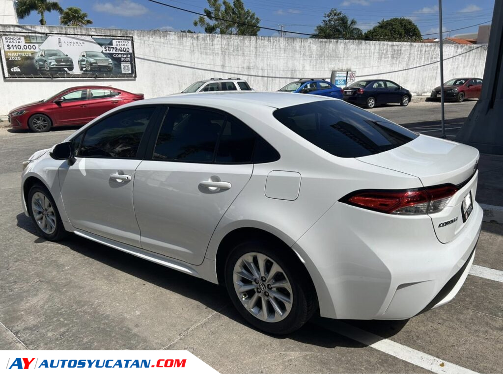 Corolla LE 2020