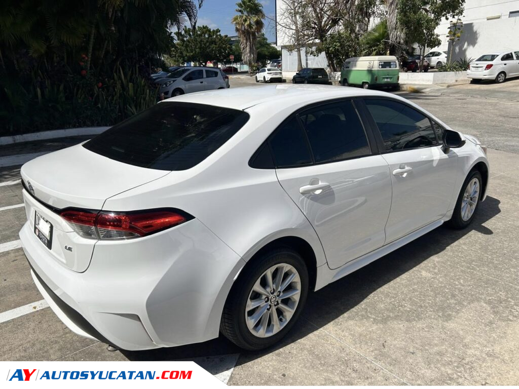 Corolla LE 2020