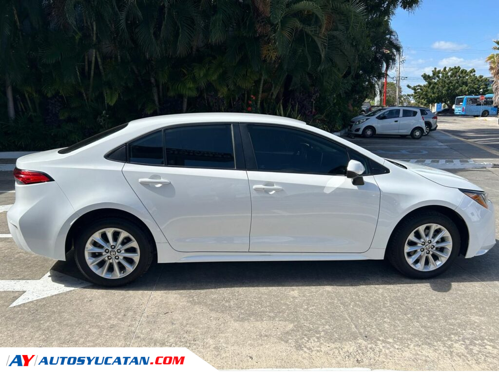 Corolla LE 2020