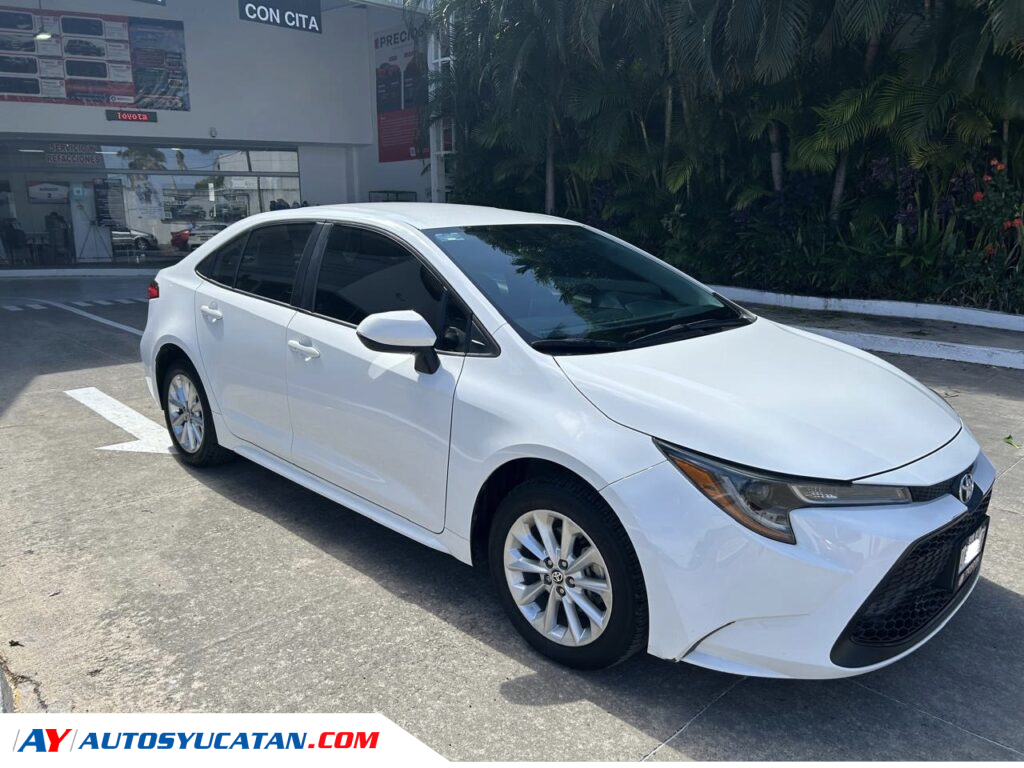 Corolla LE 2020