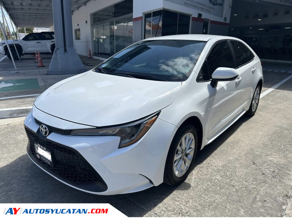 Corolla LE 2020