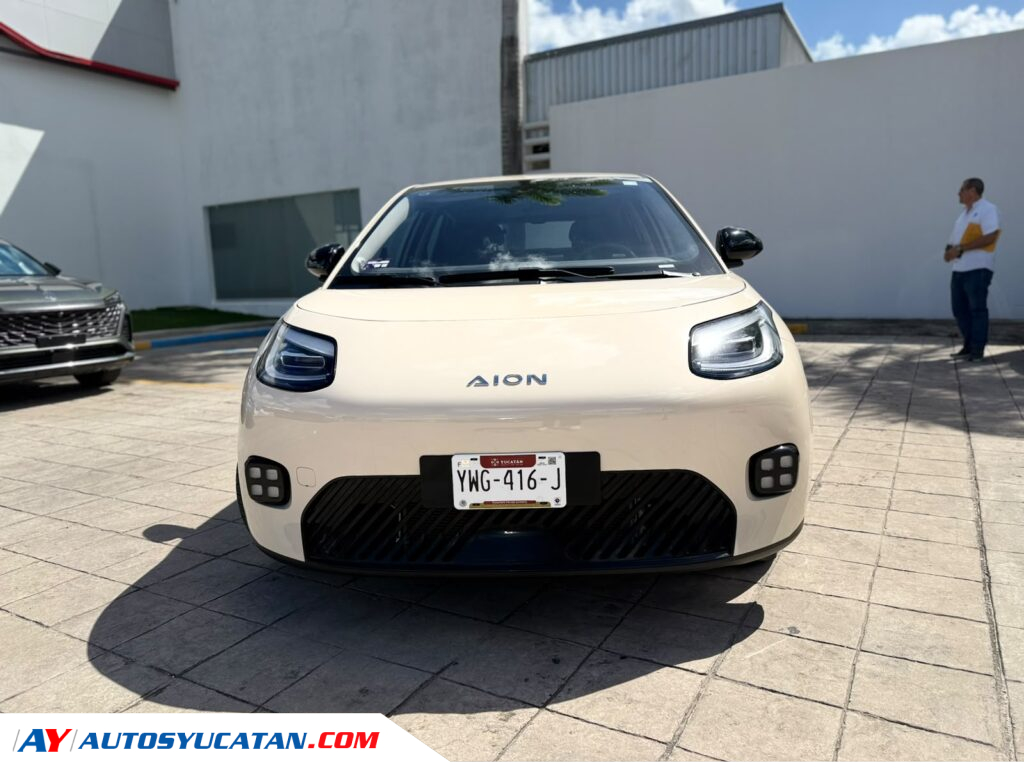 AION STANDART EV